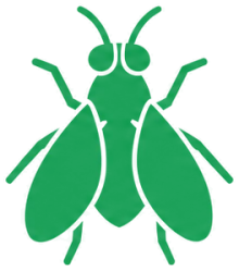 Flies