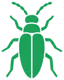 Wood borers